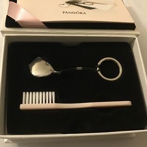Pandora Cleaning kit